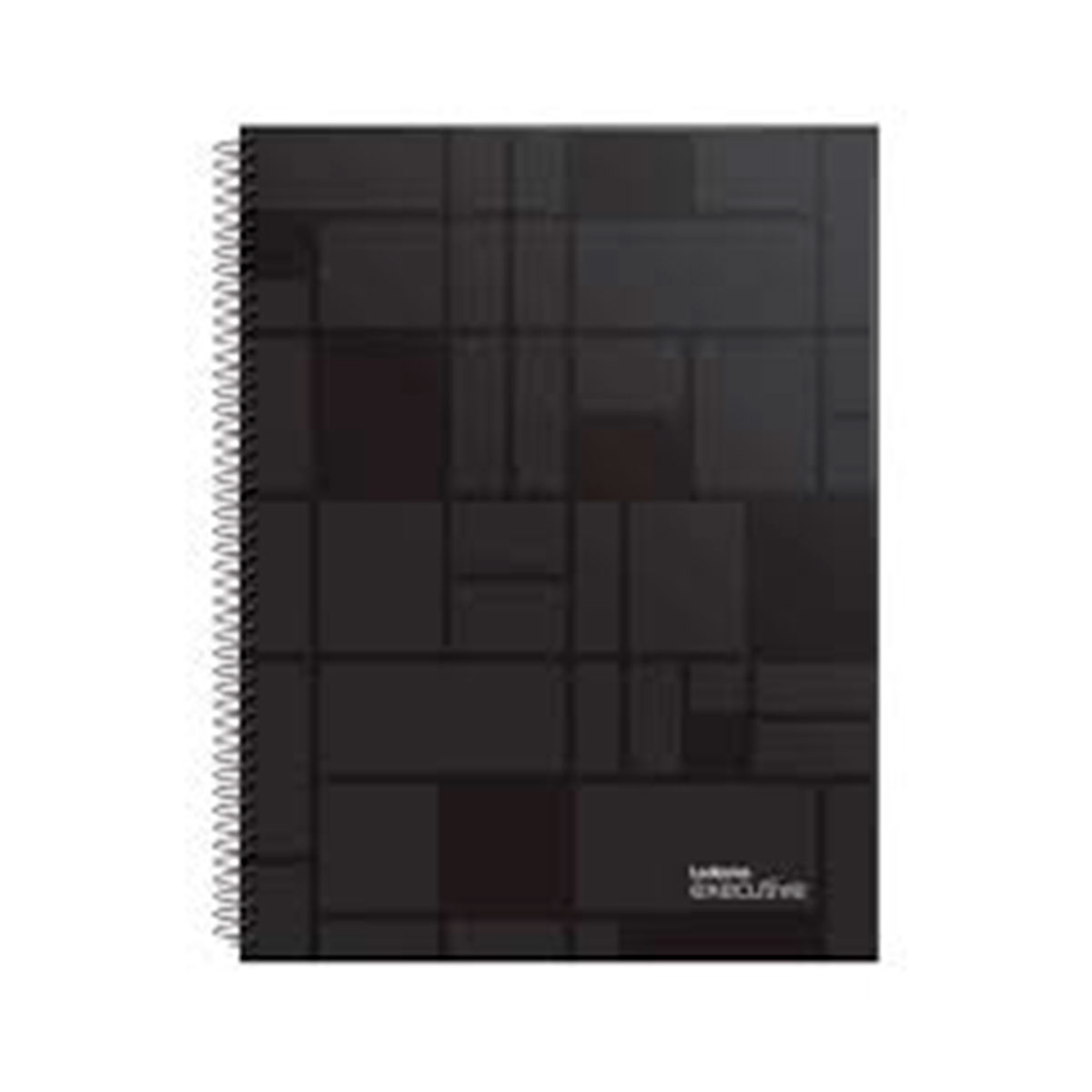 100750 LEDESMA                                                      | CUADERNO 16X21CM EXECUTIVE 120 HOJAS RAYADO TAPA PLASTICA                                                                                                                                                                                       