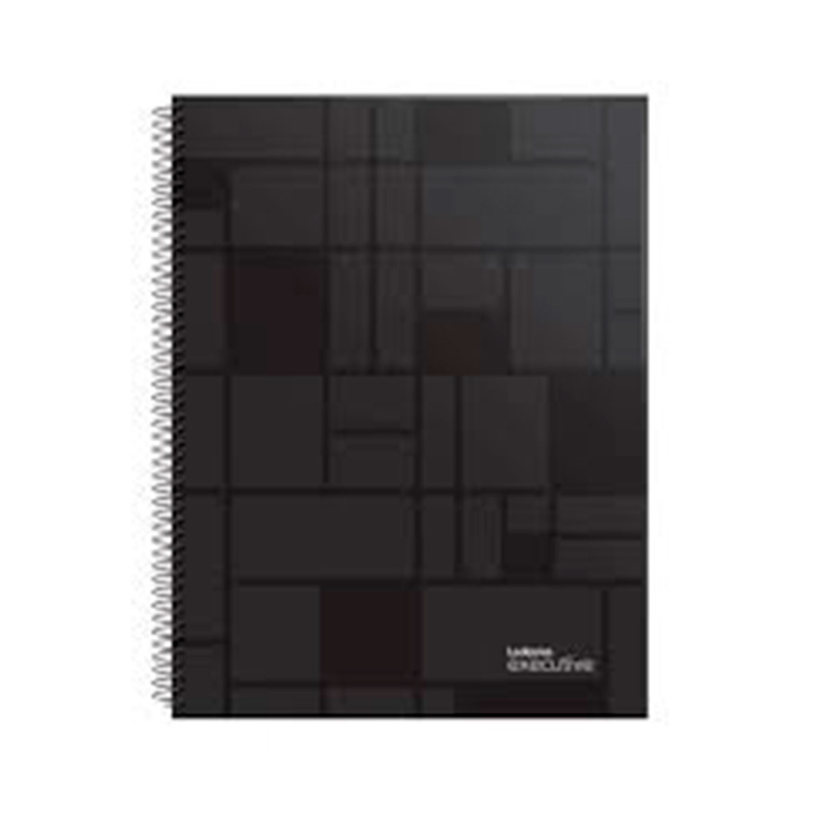 100751 LEDESMA                                                      | CUADERNO 16X21CM EXECUTIVE 120 HOJAS CUADRICULADO TAPA PLASTICA                                                                                                                                                                                 