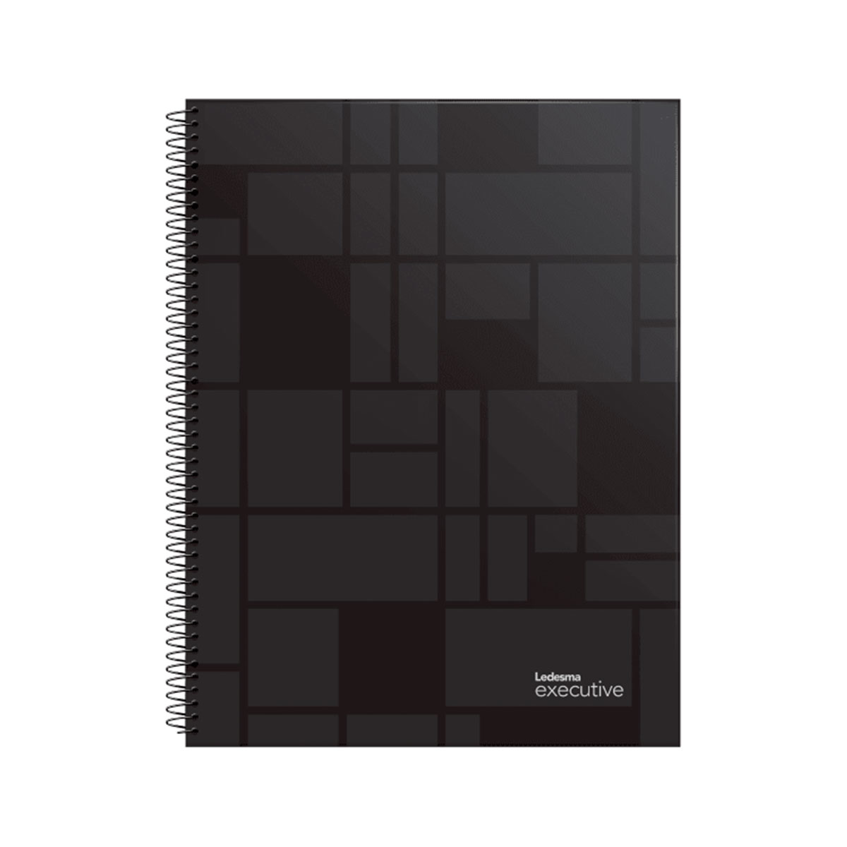 100760 LEDESMA                                                      | CUADERNO 22X29CM EXECUTIVE 84 HOJAS TAPA PLASTICA RAYADA                                                                                                                                                                                        