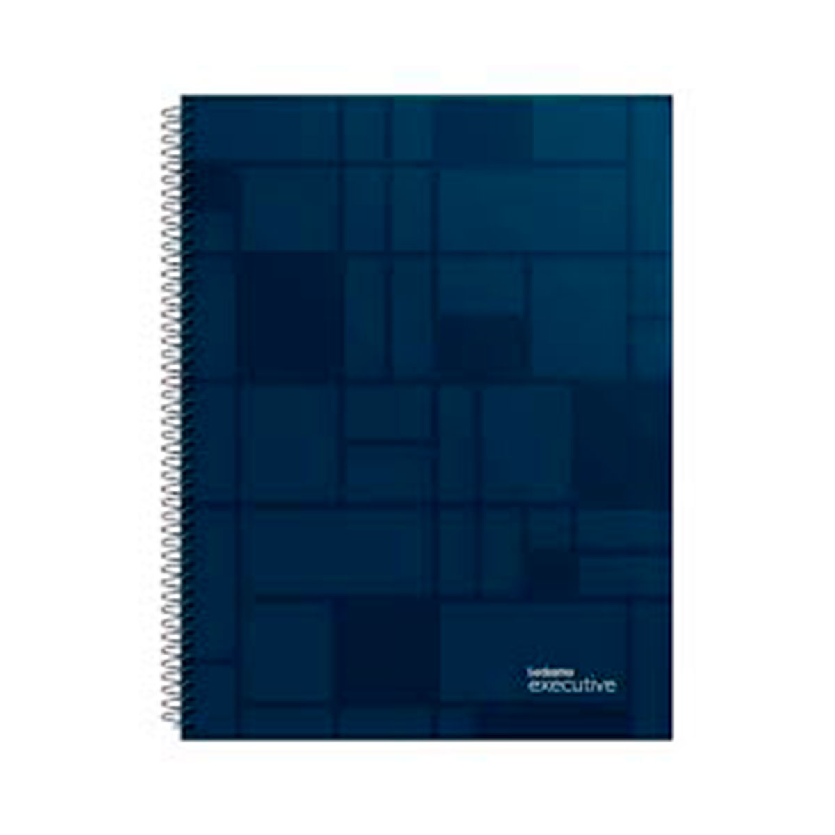 100762 LEDESMA                                                      | CUADERNO 22X29CM EXECUTIVE 84 HOJAS TAPA PLASTICA RAYADA AZUL                                                                                                                                                                                   