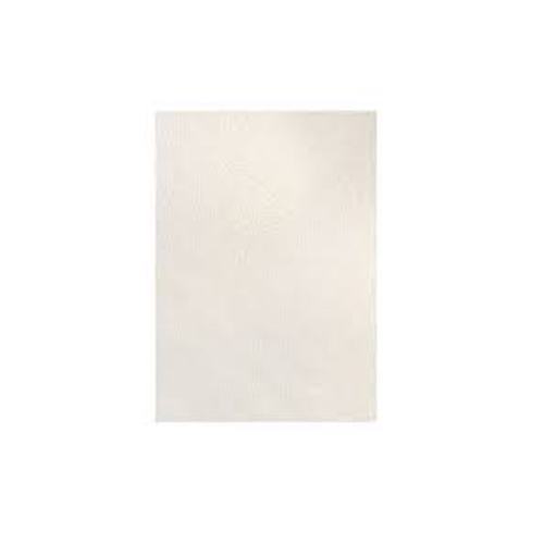 4113019-2000 CAPITOLIO                                                    | CARTULINA 44.5 X 63 CM BLANCA                                                                                                                                                                                                                   