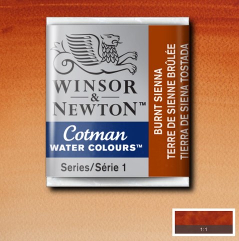 CWC-074 WINSOR & NEWTON                                              | ACUARELA COTMAN EN PASTILLA 1/2 PAN SIENA TOSTADA                                                                                                                                                                                                         