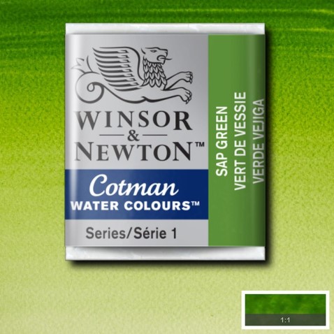 CWC-599 WINSOR & NEWTON                                              | ACUARELA COTMAN EN PASTILLA 1/2 PAN VERDE VEJIGA                                                                                                                                                                                                          