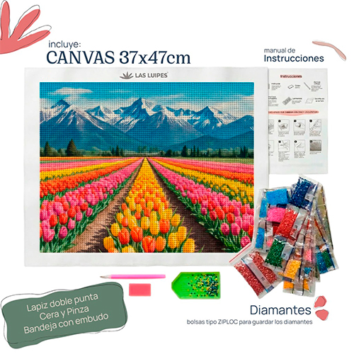 DP3747-TULIPANES