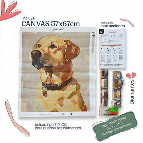DP5767-LABRADOR