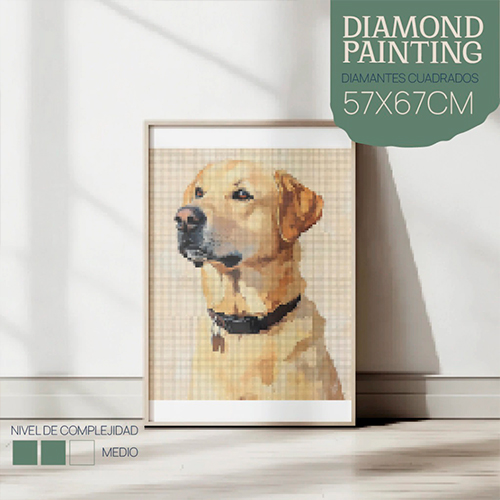 DP5767-LABRADOR