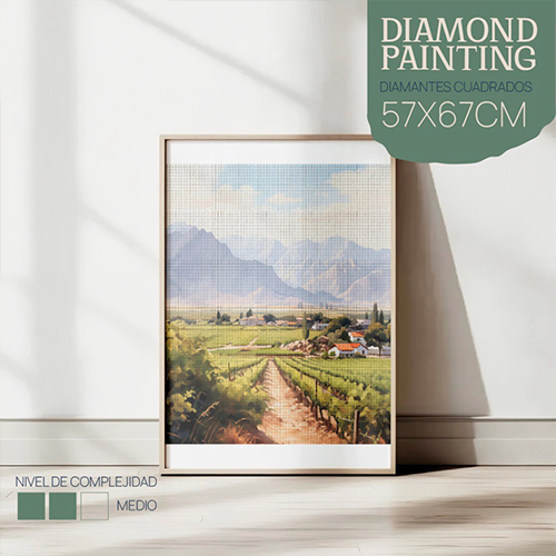 DP5767-VINIEDOS