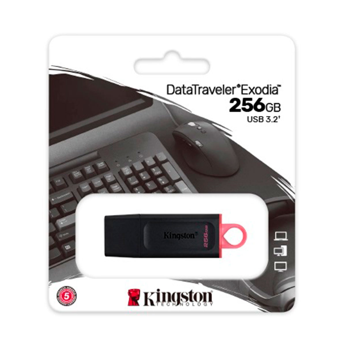 DTX-256GB