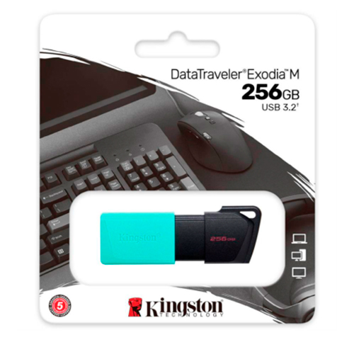 DTXM-256GB