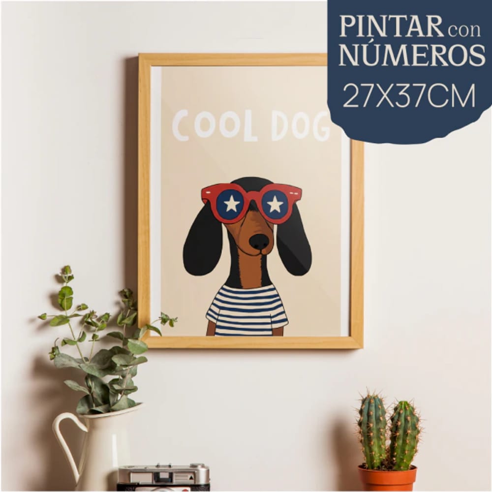 PN2737-COOLDOG