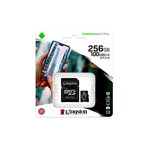 SDCS2-256GB