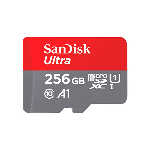 SDSQUNR-256G-G